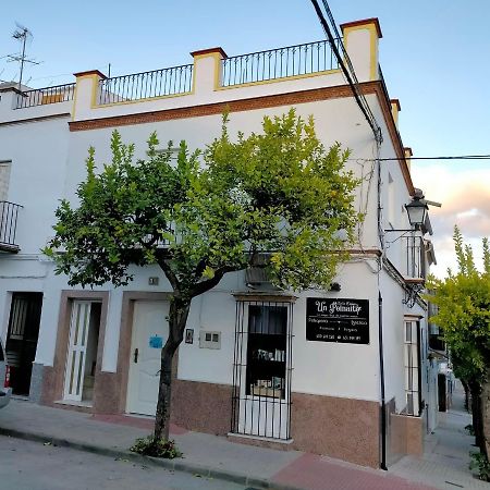 Jacaranda Villa Prado Del Rey Dış mekan fotoğraf