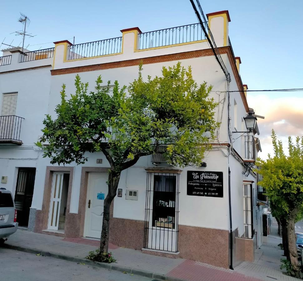 Jacaranda Villa Prado Del Rey Dış mekan fotoğraf