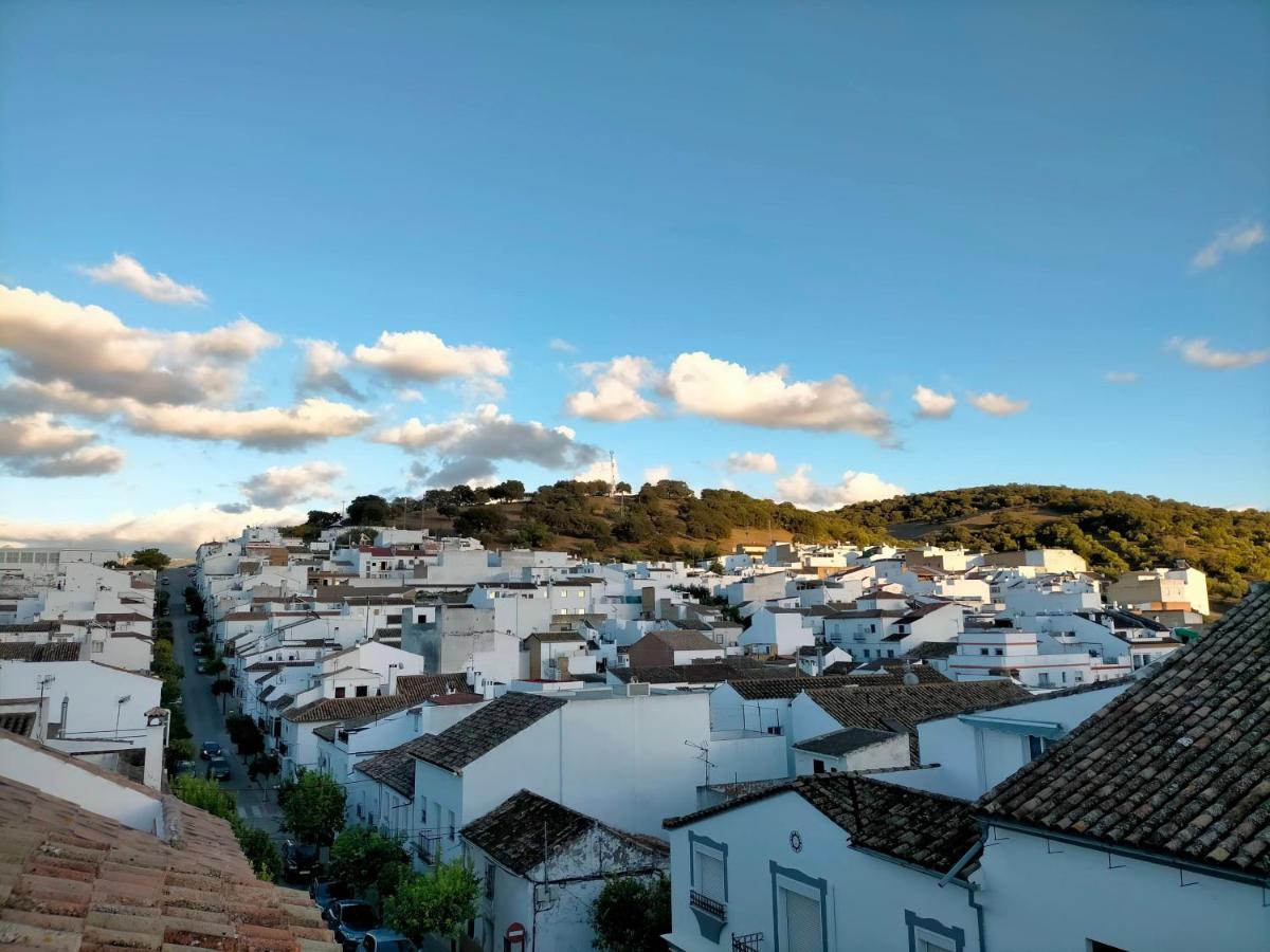 Jacaranda Villa Prado Del Rey Dış mekan fotoğraf