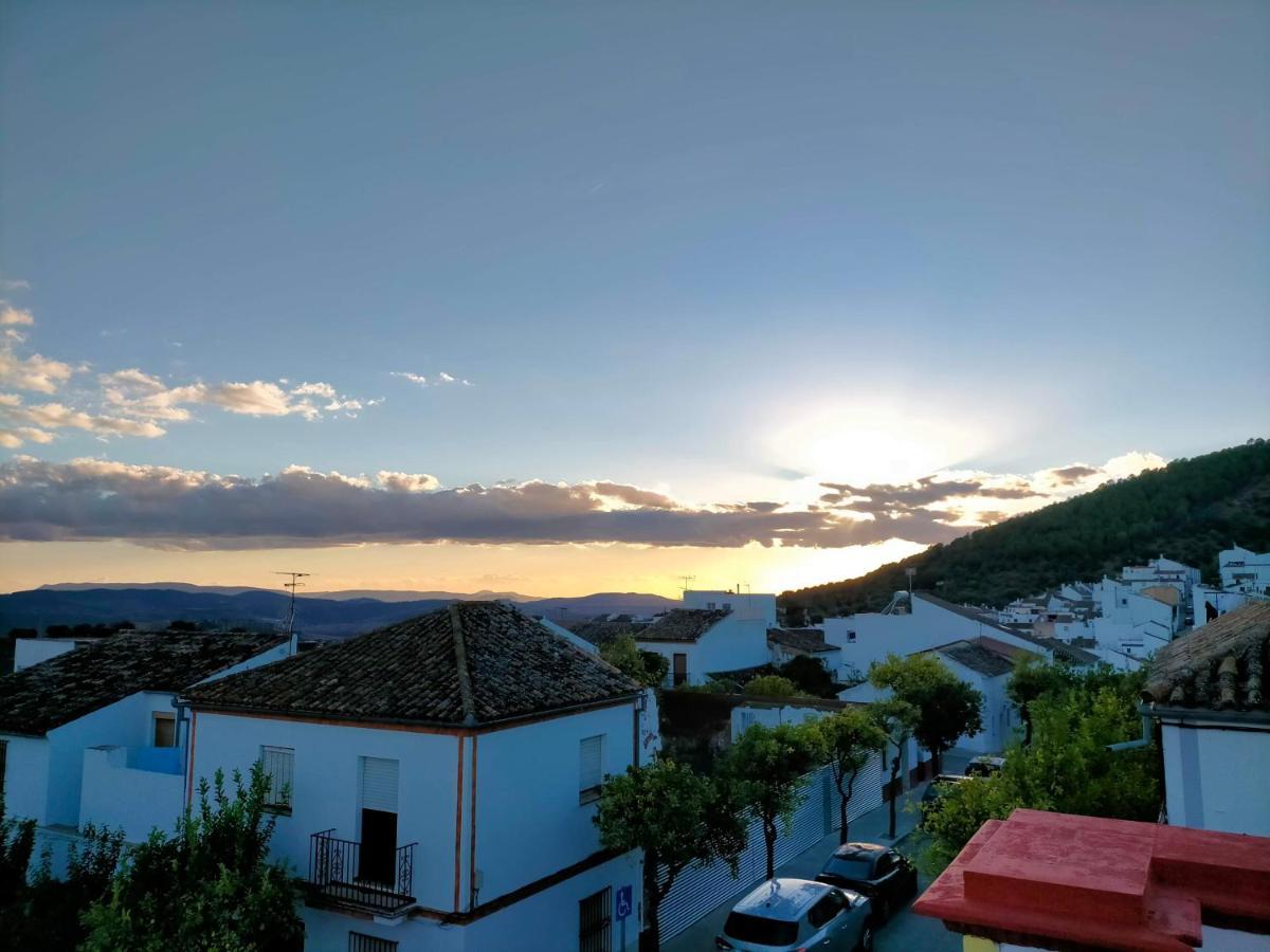 Jacaranda Villa Prado Del Rey Dış mekan fotoğraf